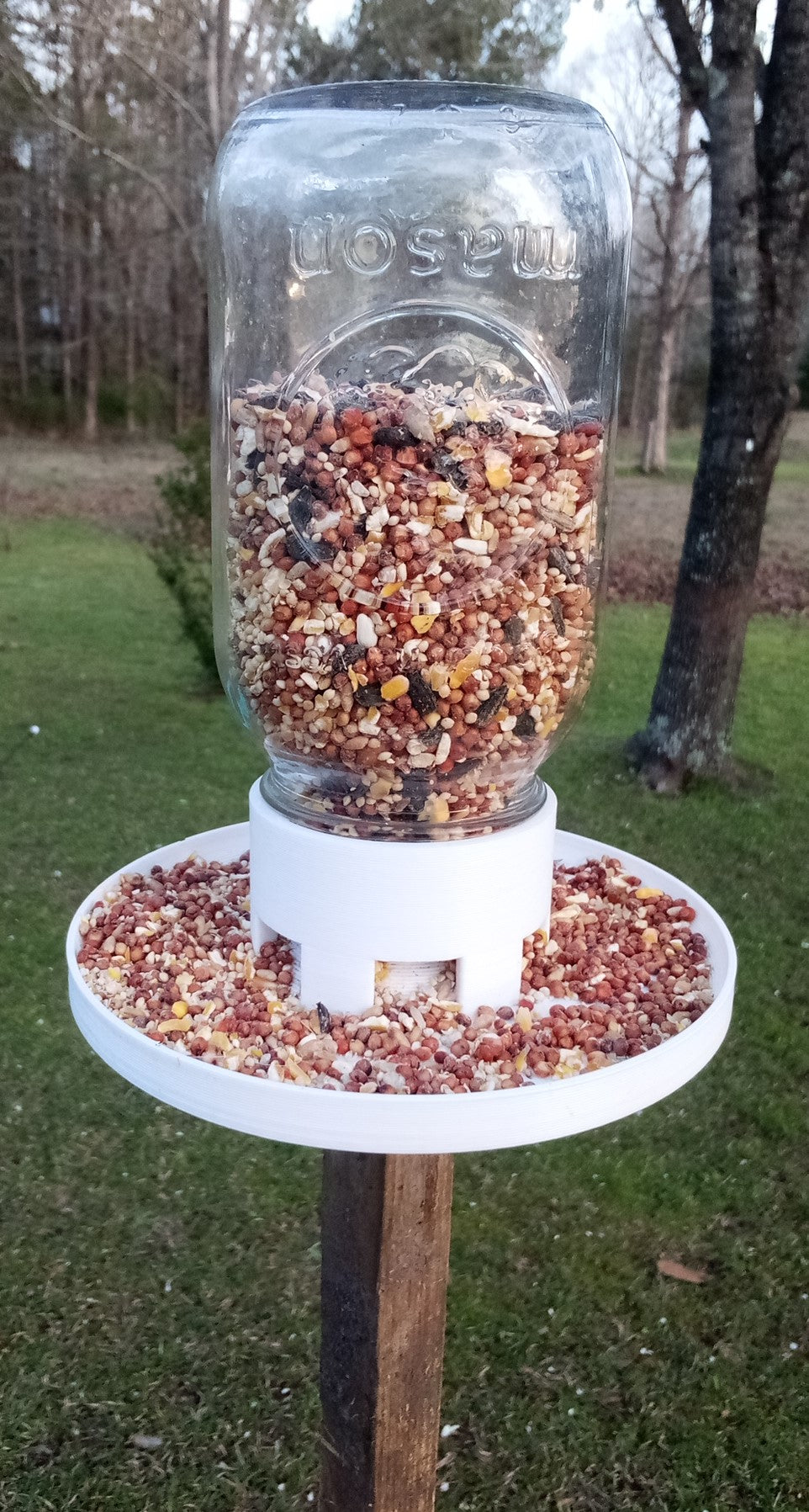 Comedero para pájaros de tarro de cristal Mason: fácil de usar