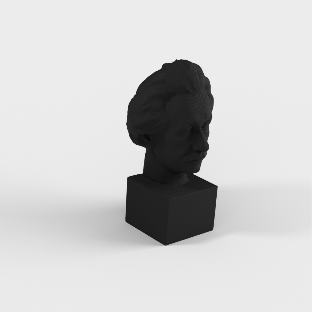 Busto de Einstein