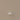 Soporte de pared para Google Nest Wifi Pro