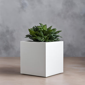 Minimalistisk kubeformet urtepotte til planter