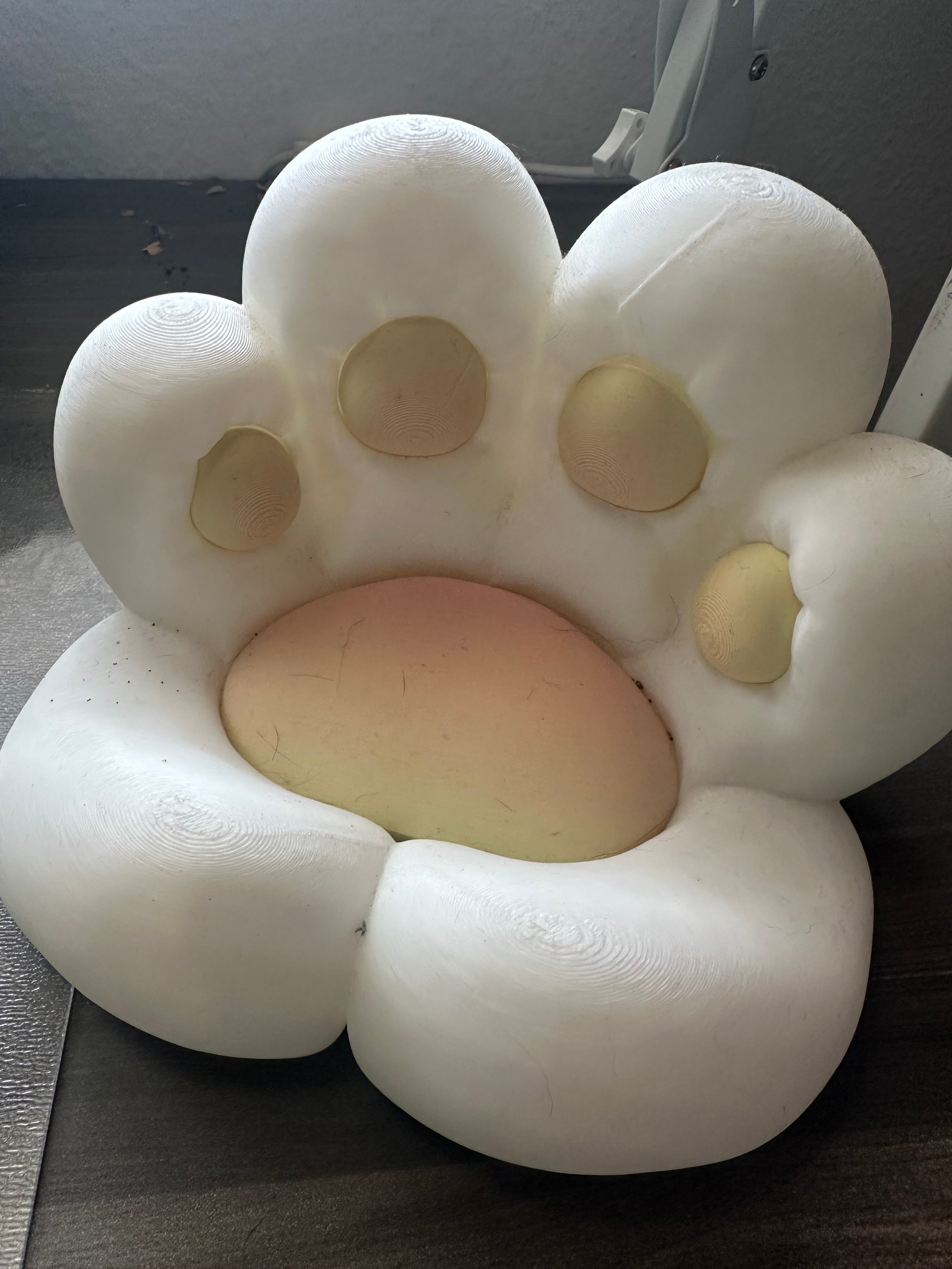 Bandeja adorable de pata de gato para el escritorio