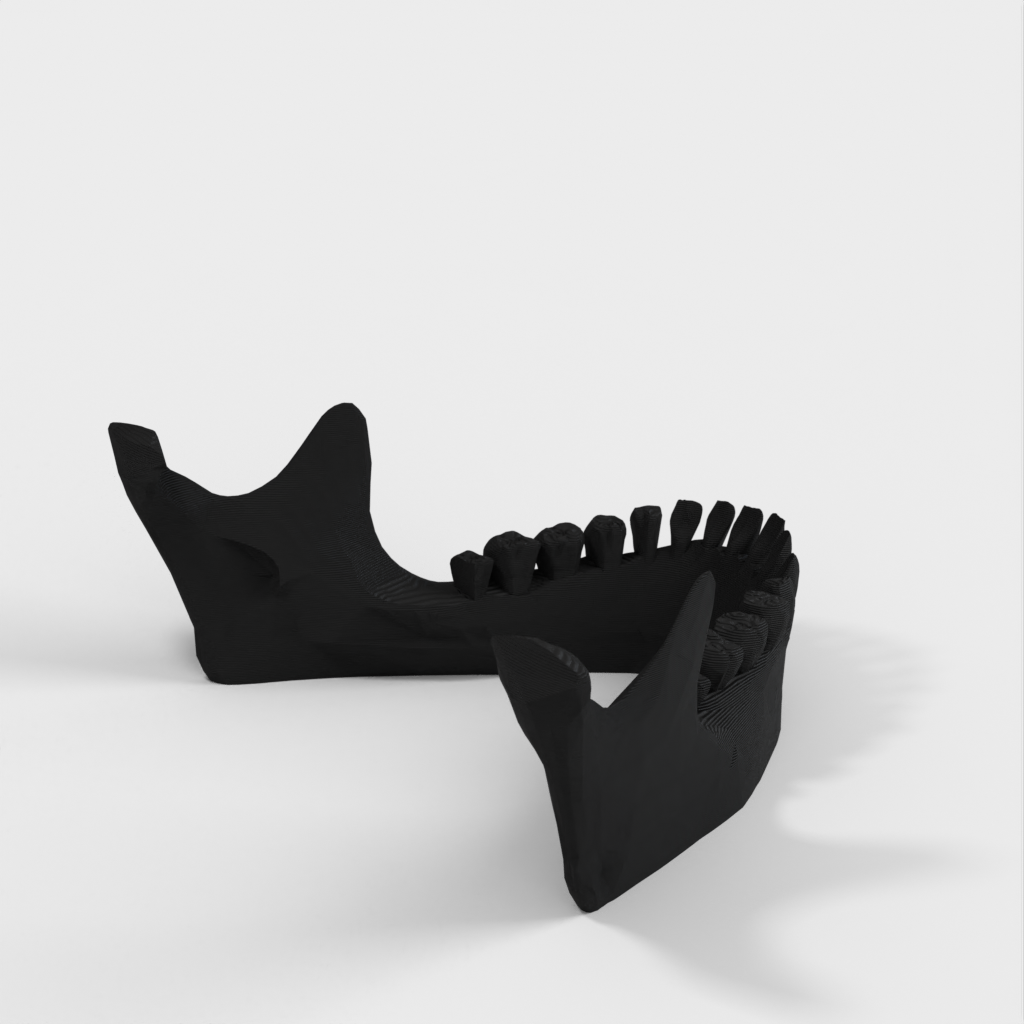 Jaw iPad Stand: modelo de mandíbula humana y soporte para iPad