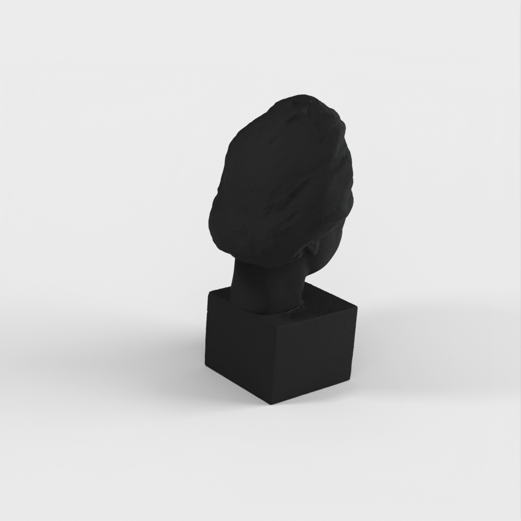Escaneo 3D del busto de Albert Einstein - Estatua de bronce para imprimir