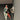 LEGO Boba Fett Nave Montaje en Pared 75243