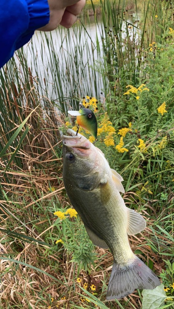 Fiskekrabbait: señuelo de pesca eficaz para tu próxima expedición de pesca