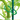 Prácticos clips para plantas trepadoras