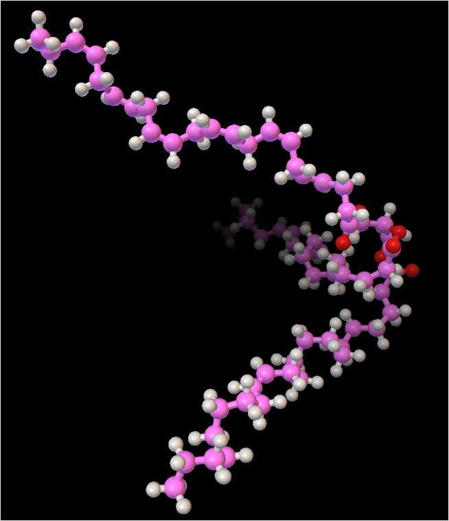 Modelo molecular del triacilglicerol a escala atómica
